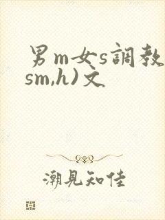 男m女s调教(sm,h)文封面