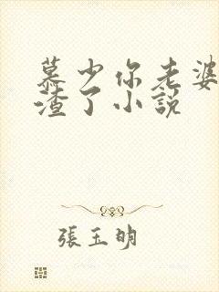 慕少你老婆又虐渣了小说