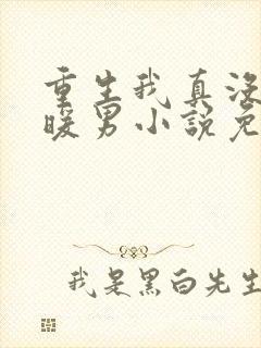 重生我真没想当暖男小说免费阅读封面