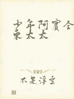 少年阿宾全文房东太太封面