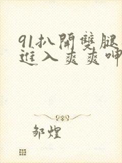 91扒开双腿猛进入爽爽呻吟