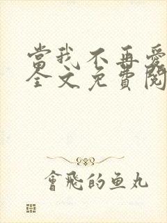 当我不再爱你时全文免费阅读封面