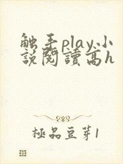 触手play小说阅读高h