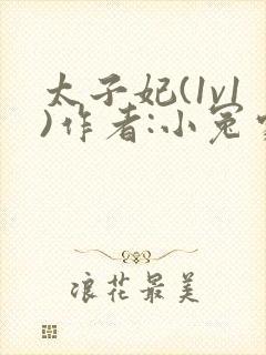 太子妃(1v1)作者:小冤家