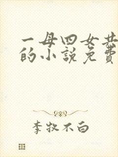 一母四女共一婿的小说免费阅读小冉