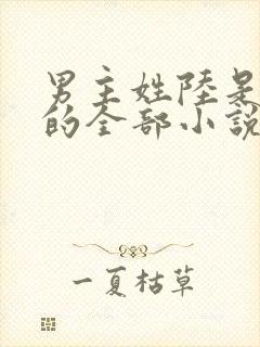 男主姓陆是总裁的全部小说