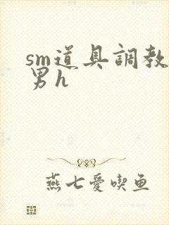 sm道具调教男男h封面
