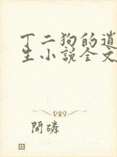 丁二狗的逍遥人生小说全文无删减封面