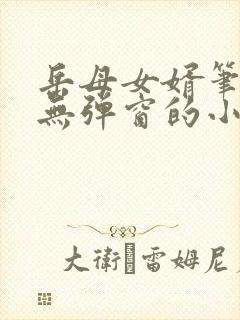 岳母女婿笔趣阁无弹窗的小说封面