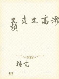 又爽又高潮的视频