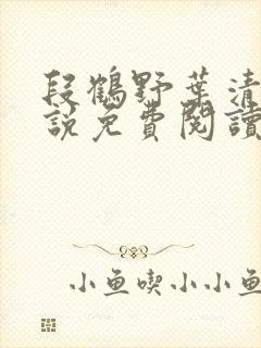 段鹤野叶清璃小说免费阅读最新章节封面