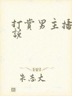 打赏男主播的小说封面