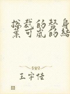 总裁的替身前妻叶可岚的结局