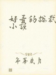 好看的总裁长篇小说封面