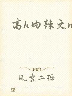 高h肉辣文np封面