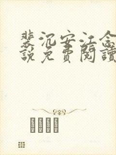 裴沉安江念意小说免费阅读最新章节