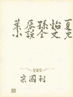 叶辰孙怡夏若雪小说全文免费阅读封面