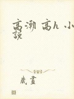 高潮 高h 小说