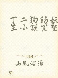 丁二狗的妖孽人生小说完整版