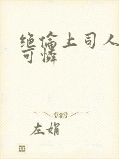 绝伦上司人妻枫可怜封面