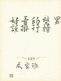 好看的双男主小说排行榜封面