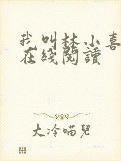 我叫林小喜小说在线阅读