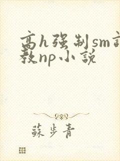 高h强制sm调教np小说