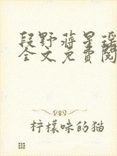 段野蒋星瑶小说全文免费阅读封面