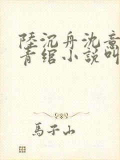 陆沉舟沈意欢林青绾小说叫什么