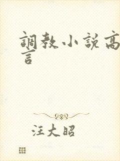 调教小说高h古言