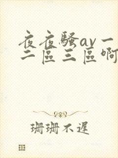夜夜骚av一区二区三区啊封面