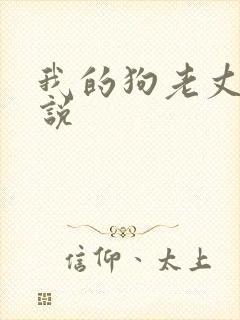 我的狗老丈夫小说