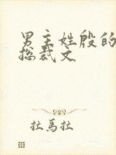 男主姓殷的小说总裁文