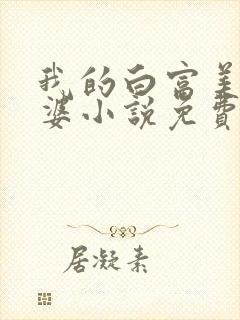 我的白富美的老婆小说免费阅读封面