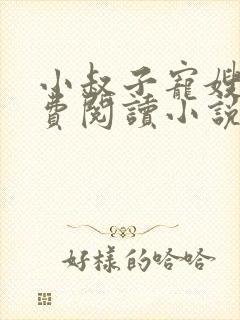 小叔子宠嫂嫂免费阅读小说封面