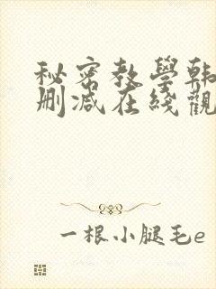 秘密教学韩漫无删减在线观看