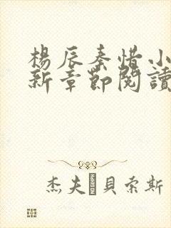 杨辰秦惜小说最新章节阅读