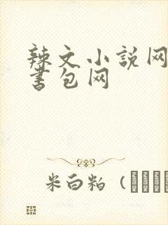 辣文小说网第二书包网
