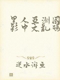 黑人亚洲国产精彩中文乱码av