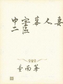 中字幕人妻一区二区封面