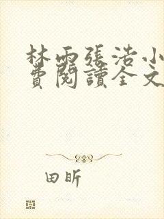 林雨张浩小说免费阅读全文最新章节封面