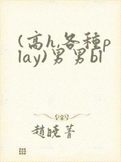 (高h,各种play)男男bl封面