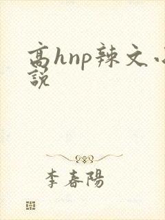 高hnp辣文小说