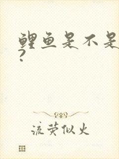 鲤鱼是不是死了?