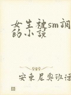 女生被sm调教的小说