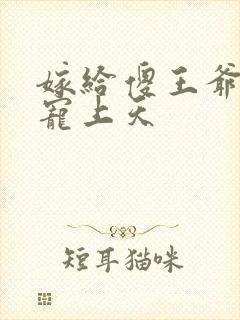 嫁给傻王爷后被宠上天