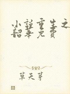 小说重生之不负韶华免费