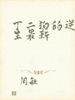 丁二狗的逆袭人生最新封面