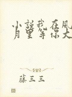 小说我在风花雪月里等你大结局