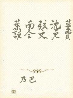 叶南弦沈蔓歌小说全文免费阅读